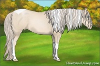 Horse Color:Palomino Pearl Tobiano