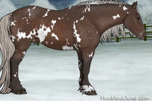 Horse Color:White Spotted Silver Brown Appaloosa 