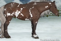 Horse Color:White Spotted Silver Brown Varnish 