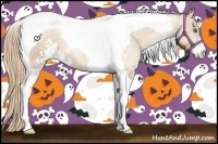 Horse Color:Gold Champagne Sabino Tobiano