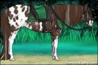 Horse Color:Liver Chestnut Sabino Blanket 
