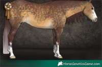 Horse Color:Chocolate Buckskin 