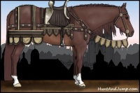 Horse Color:Chocolate Buckskin 