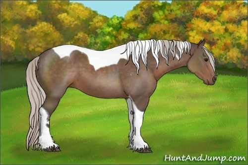 Horse Color:Silver Black Sabino Tobiano
