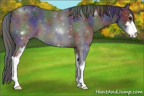 Horse Color:Nacre Black Sabino
