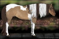 Horse Color:Liver Red Dun Tobiano Rabicano 