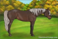 Horse Color:Silver Brown 