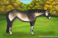 Horse Color:Brown Onyx