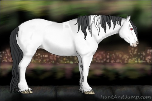 Horse Color:White Spotted Sable Champagne Chinchilla Onyx Tobiano