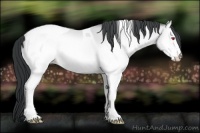 Horse Color:White Spotted Sable Champagne Chinchilla Onyx Tobiano 