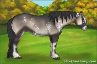 Horse Color:White Spotted Blue Onyx 