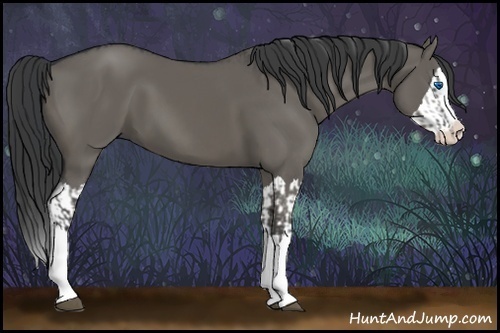 Horse Color:Grullo Sabino Splash and Grullo Sabino Splash