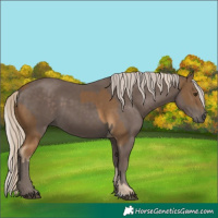 Horse Color:Chocolate Palomino and Silver Black