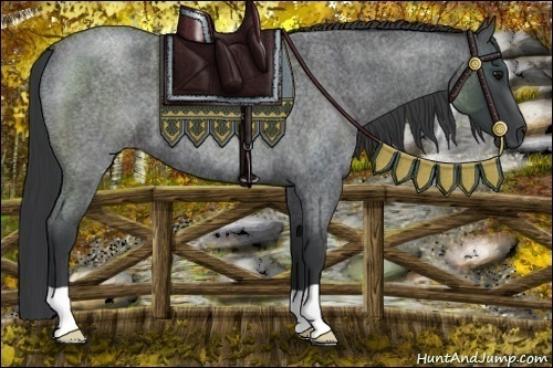 Horse Color:Blue Roan