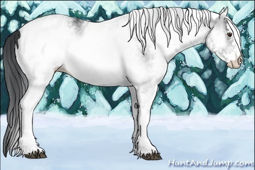 Horse Color:White Spotted Brown Chinchilla Onyx 
