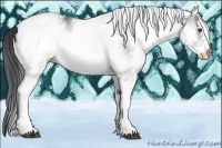 Horse Color:White Spotted Brown Chinchilla Onyx 