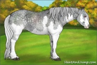 Horse Color:Silver Blue Chinchilla Roan Splash