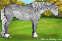 Horse Color:Silver Blue Chinchilla Roan 
