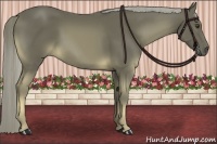 Horse Color:Chocolate Palomino 