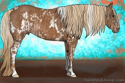 Horse Color:Chestnut Sabino  and White Spotted Chestnut 