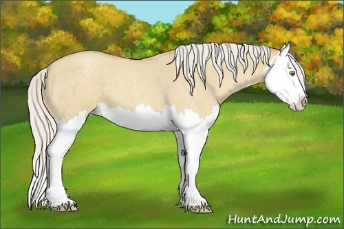Horse Color:Silver Classic Champagne Roan Dun Splash 