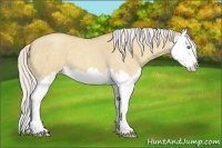 Horse Color:Silver Classic Champagne Roan Dun Splash 