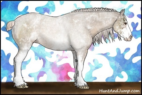 Horse Color:White Spotted Chocolate Palomino Sabino 