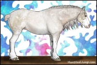 Horse Color:White Spotted Chocolate Palomino Sabino
