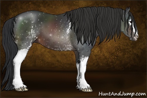 Horse Color:White Spotted Brown Sabino