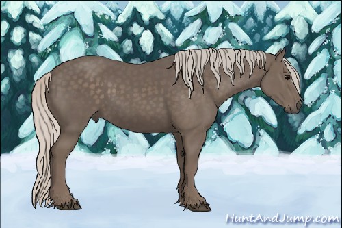 Horse Color:Silver Black 