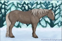 Horse Color:Silver Black 