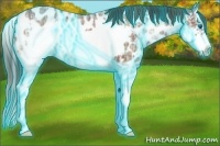 Horse Color:Thunderstruck Plaid Brown Ice Splash Frame Appaloosa