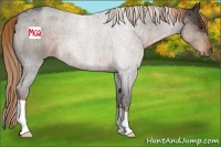 Horse Color:Liver Red Roan 