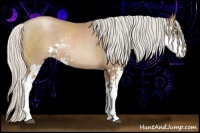 Horse Color:Silver Black Pearl Sabino Rabicano 