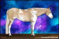 Horse Color:Silver Black Pearl Sabino 