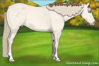 Horse Color:Perlino Dun Sabino