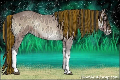 Horse Color:Painted Buckskin Ice Onyx 