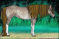 Horse Color:Painted Buckskin Ice Onyx