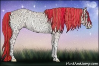 Horse Color:Painted Buckskin Ice Pearl Onyx 