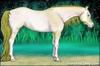 Horse Color:Watercolor Buckskin Ice Pearl Onyx