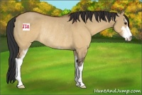 Horse Color:Brown Dun Sabino Rabicano