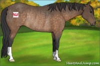Horse Color:Buckskin Rabicano