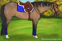 Horse Color:Brown Dun