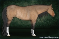 Horse Color:Brown Dun Rabicano 
