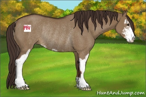 Horse Color:Liver Red Dun Sabino Rabicano