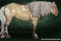 Horse Color:White Spotted Silver Bay Dun