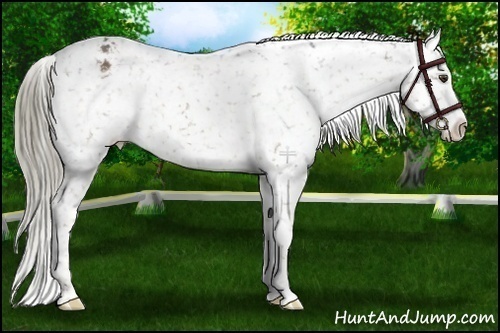 Horse Color:Liver Chestnut Mushroom Snowflake Varnish