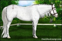 Horse Color:Liver Chestnut Mushroom Snowflake Varnish