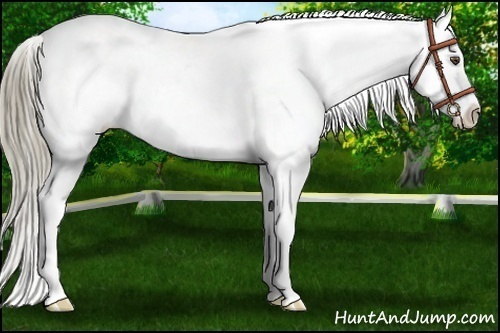 Horse Color:Liver Chestnut Mushroom Snowflake Varnish 
