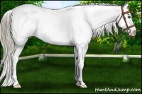 Horse Color:Liver Chestnut Mushroom Snowflake Varnish 